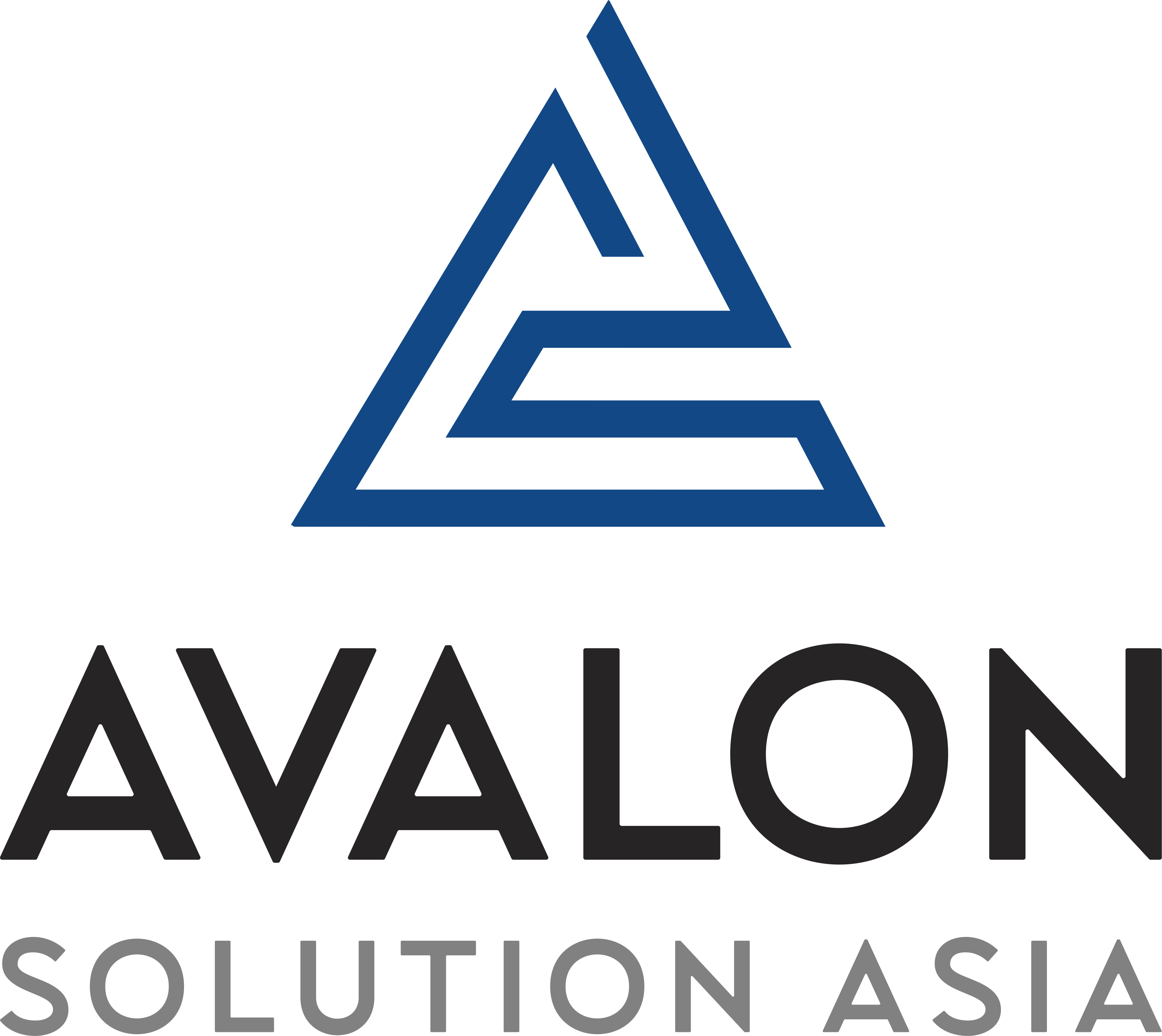 Avalon Solution - One Team, One Dream